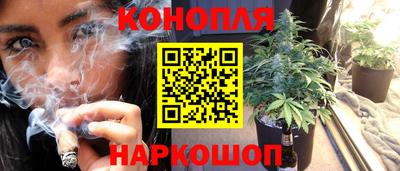 каннабис Кунгур
