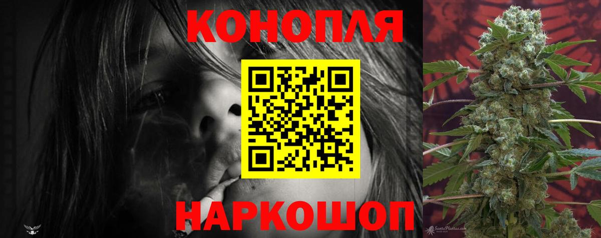 Бошки марихуана ГИДРОПОН  Вход с VPN  МАРИХУАНА Bruce Banner  Конопля сатива  Елизово 