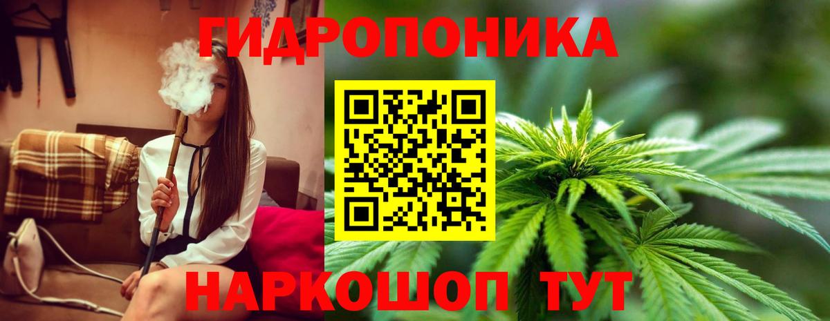 МАРИХУАНА сатива Елизово